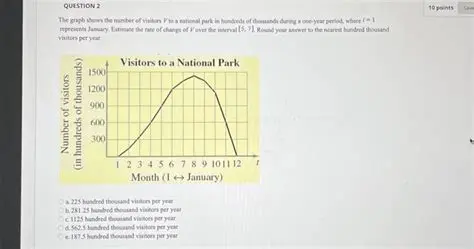 Representing the Number of Visitors at a Given Time