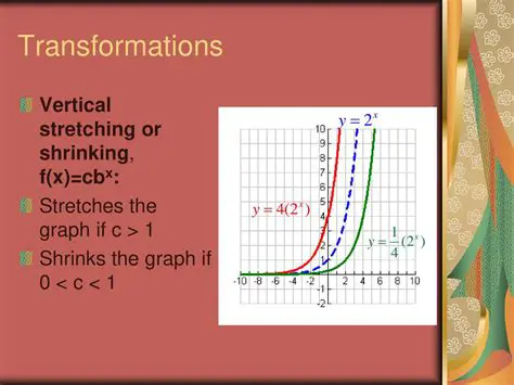 Representing Vertical Stretch in Exponential Functions