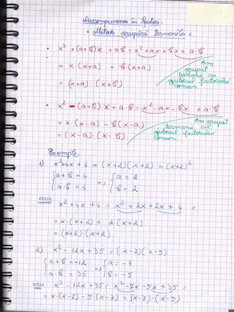 Reprezentarea termenilor prin metoda