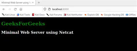 Requirements for a Minimal Web Server