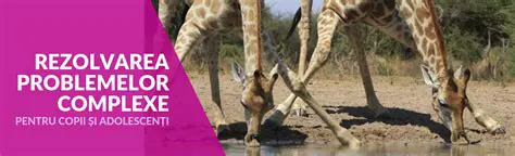 Resolvarea problemelor complexe