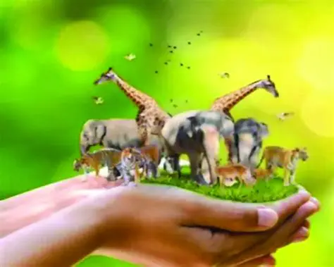 Respeitar os habitats naturais