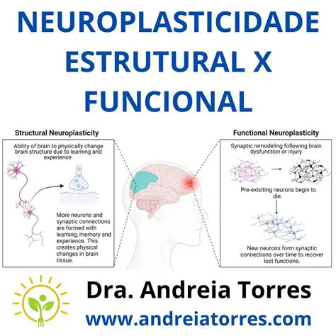 Reuven Feuerstein e a Teoria da Neuroplasticidade