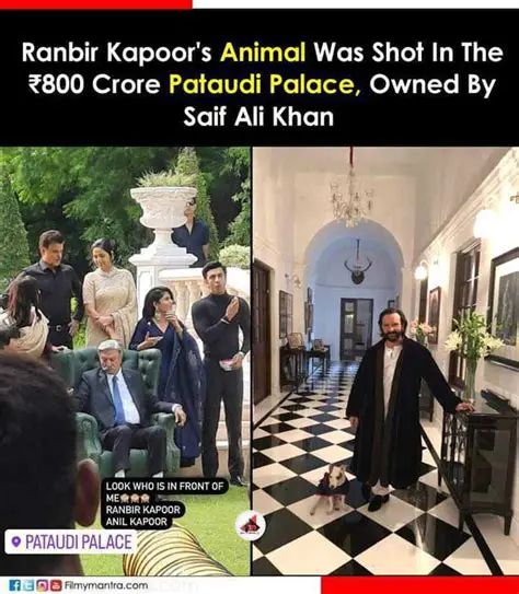 Rare Glimpses: Unveiling the Untold Stories Behind Saif Ali Khan's Iconic Photos