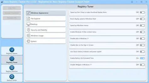 Scanning and Cleaning the Registry
