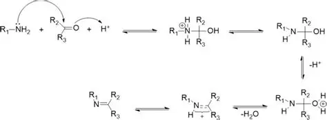 Schiff Base Synthesis from Furfural and Phenylhydrazine