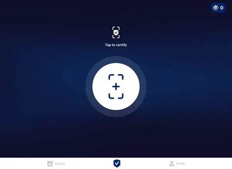 Screenshots or Visual Evidence