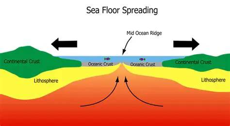 Seafloor Spreading and Continental Drift