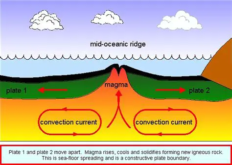 Seafloor Spreading and Convection Currents