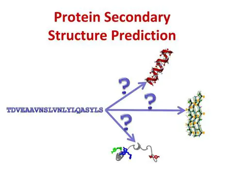 Secondary Structure Prediction