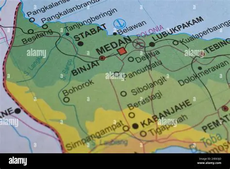 Sector Concentration in Various Regions of Medan City
