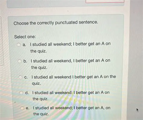 Selecting the Correctly Punctuated Sentence