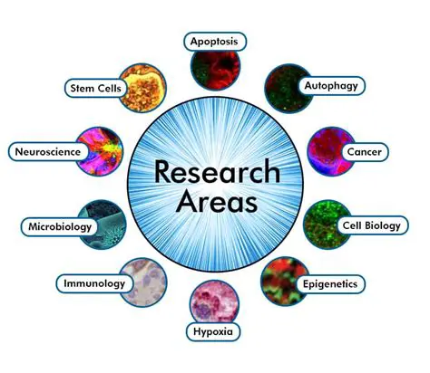 Selection and division of research areas