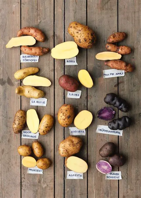 Selection of Potato Varieties