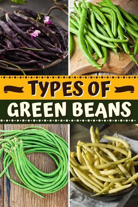 Selection of proper green bean varieties