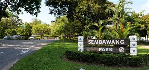 Sembawang Park: A Coastal Gem in Singapore's North