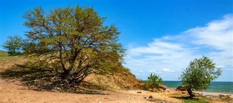 Сенеж: Вся Правда о Водохранилище, Его Природе и Отдыхе