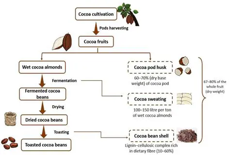 Separation of cocoa beans from skin