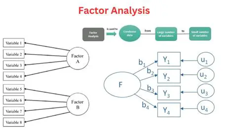 Session and Factor Analysis