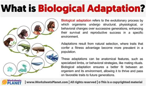 Significance of Adaptation in Biology