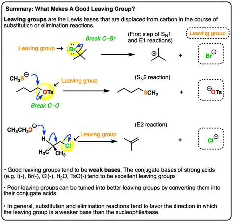 Significance of Leaving Groups in Organic Chemistry