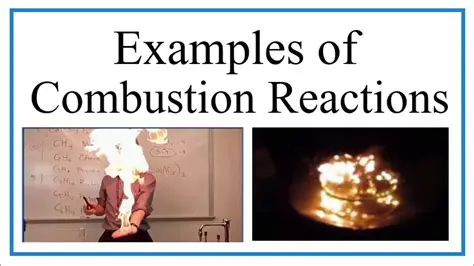 Significance of the Combustion Reaction