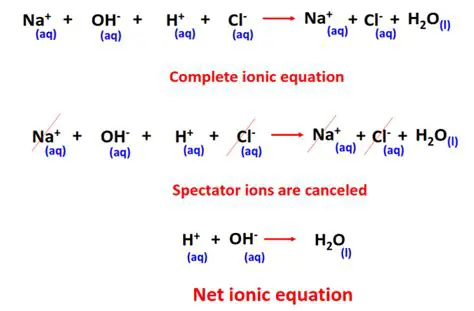 Simplifying the Net Ionic Equation
