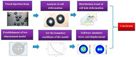 Simulation of internal cell parameters