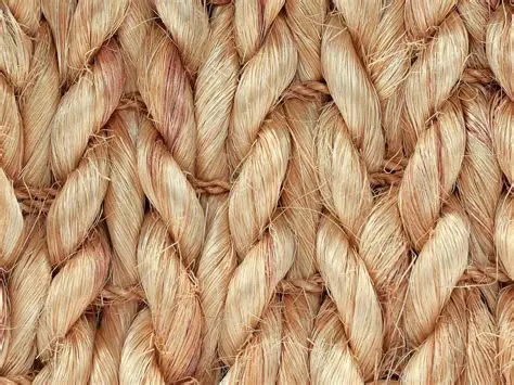 Sisal: La Fibra Naturale Versatile e Sostenibile per un Futuro Verde