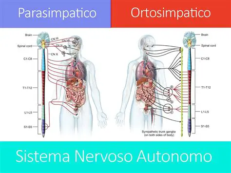 Sistema Digestivo e Sistema Nervoso