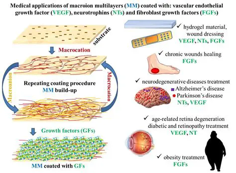 Unlocking the Potential of SMZ SD KFJ: A Deep Dive into its Applications and Future