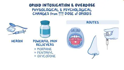 Social and Behavioral Changes Associated with Opioid Abuse