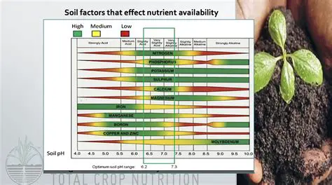 Soil Nutrient Availability