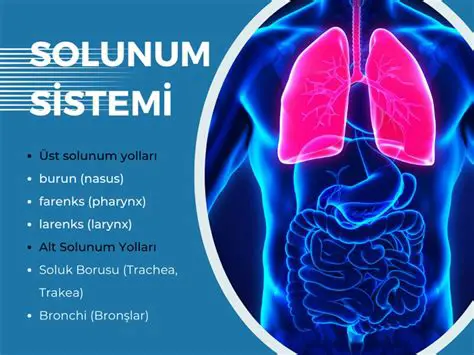 Solunum sistemi kanserleri