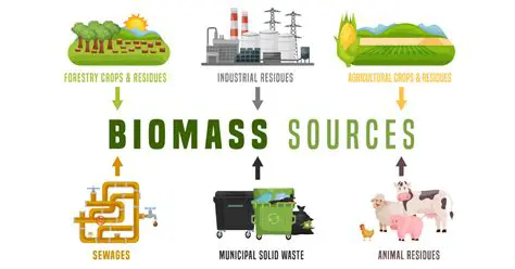 Sources of Biomass for Biofuel Production