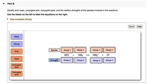 Species Involved in the Reactions