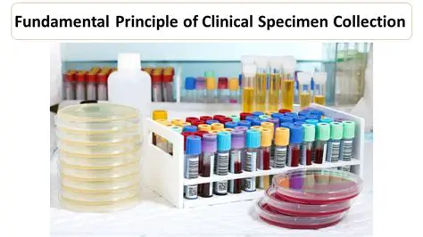 Specimen Collection in Ambulatory Care