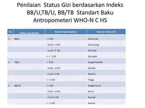 Status Gizi Siswi Berdasarkan IMT