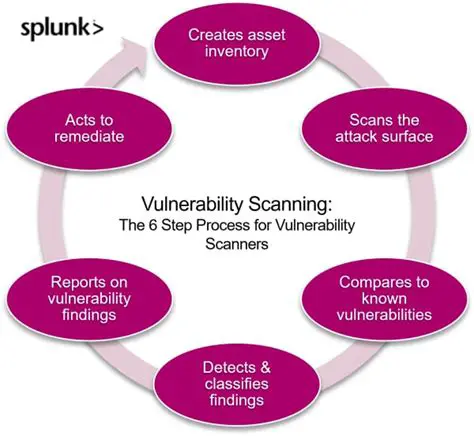 Steps to Reproduce the Vulnerability