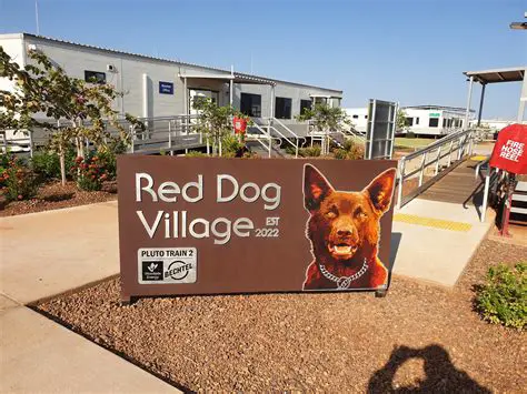 Strategies for Winning at Red Dog