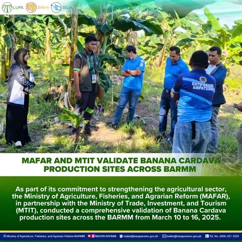 Strengthening the Agricultural Sector