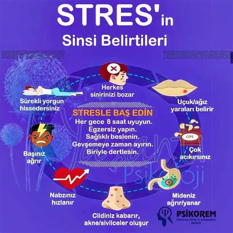 Stresin Nedenleri ve Belirtileri