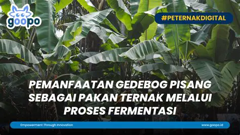 Struktur Anyepe Kaya Gedebog