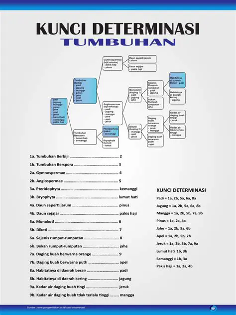 Struktur Kunci Determinasi