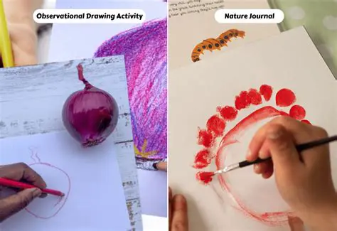 Study Period and Observation Points