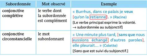 Subordonate completive indirecte cu verbe de universalitate