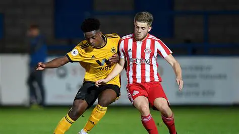 Sunderland Yashindwa na Wolves Katika Mechi ya Kusisimua