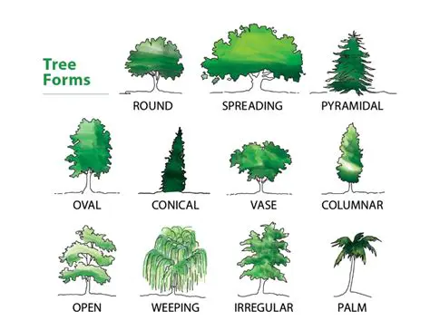 Support for different tree types