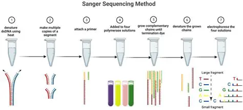 Support for multiple sequencing technologies