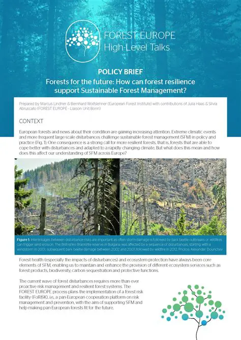 Support sustainable forest management